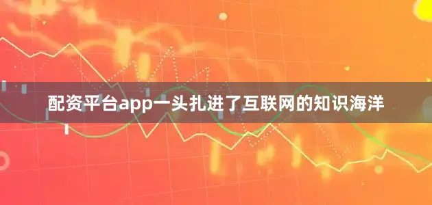 配资平台app一头扎进了互联网的知识海洋