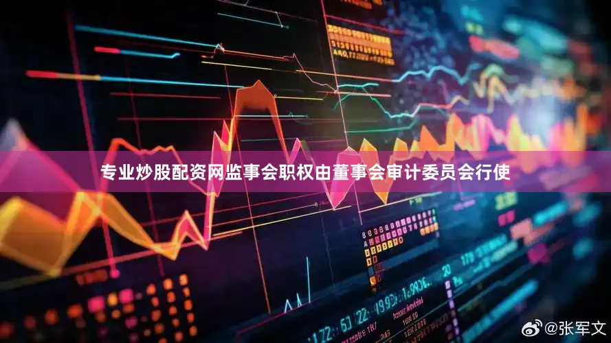 专业炒股配资网监事会职权由董事会审计委员会行使