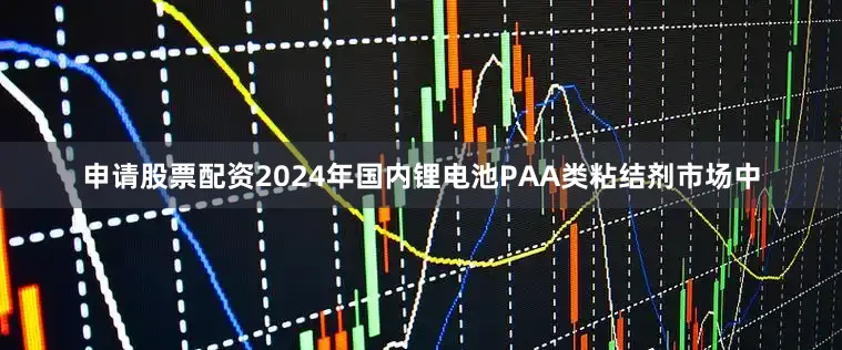 申请股票配资2024年国内锂电池PAA类粘结剂市场中